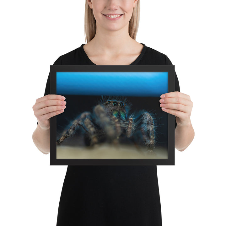 Jumping Spider Framed Matte