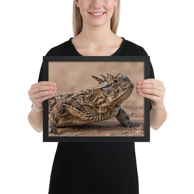 Texas Horned Lizard Framed Matte