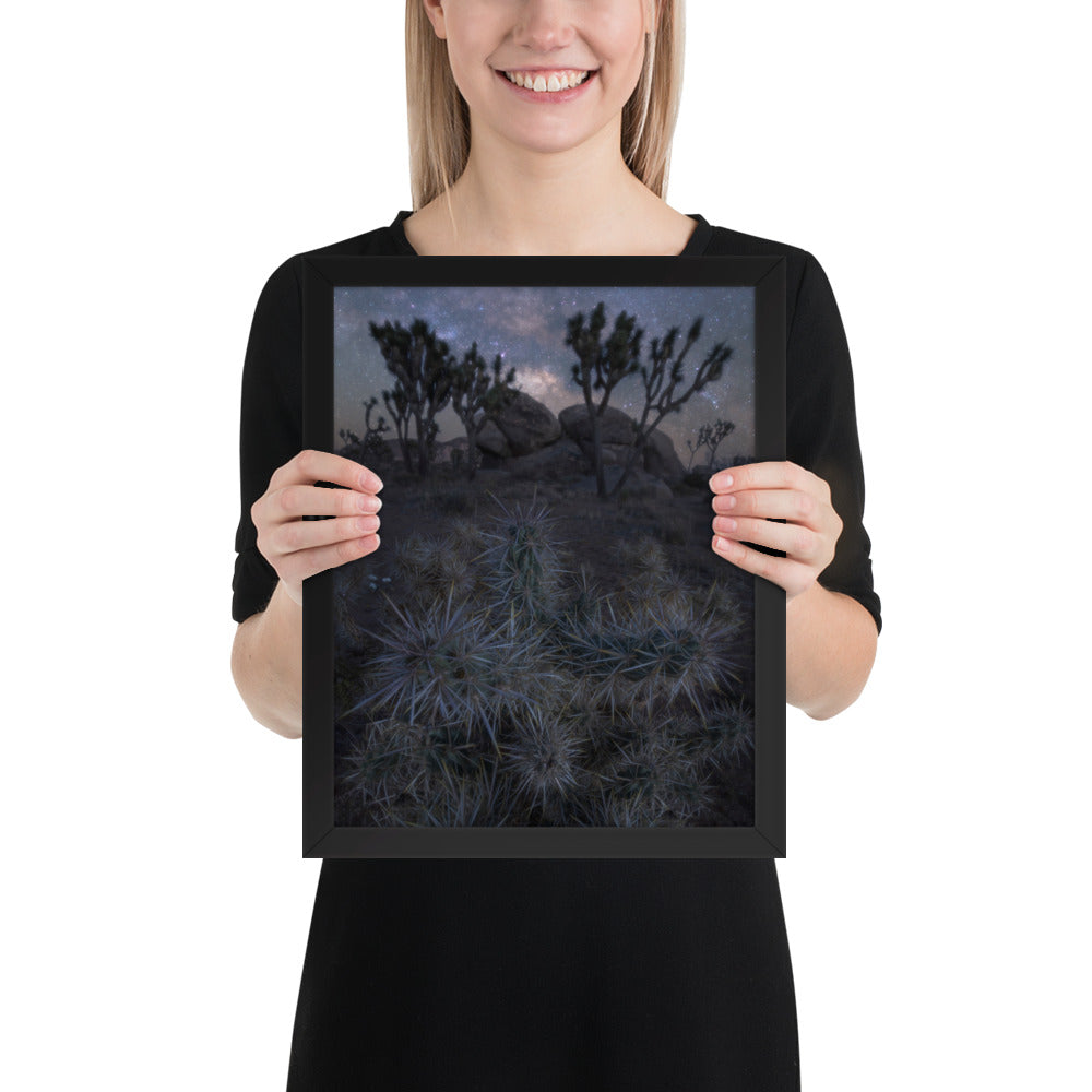 Joshua Tree Night Framed Matte