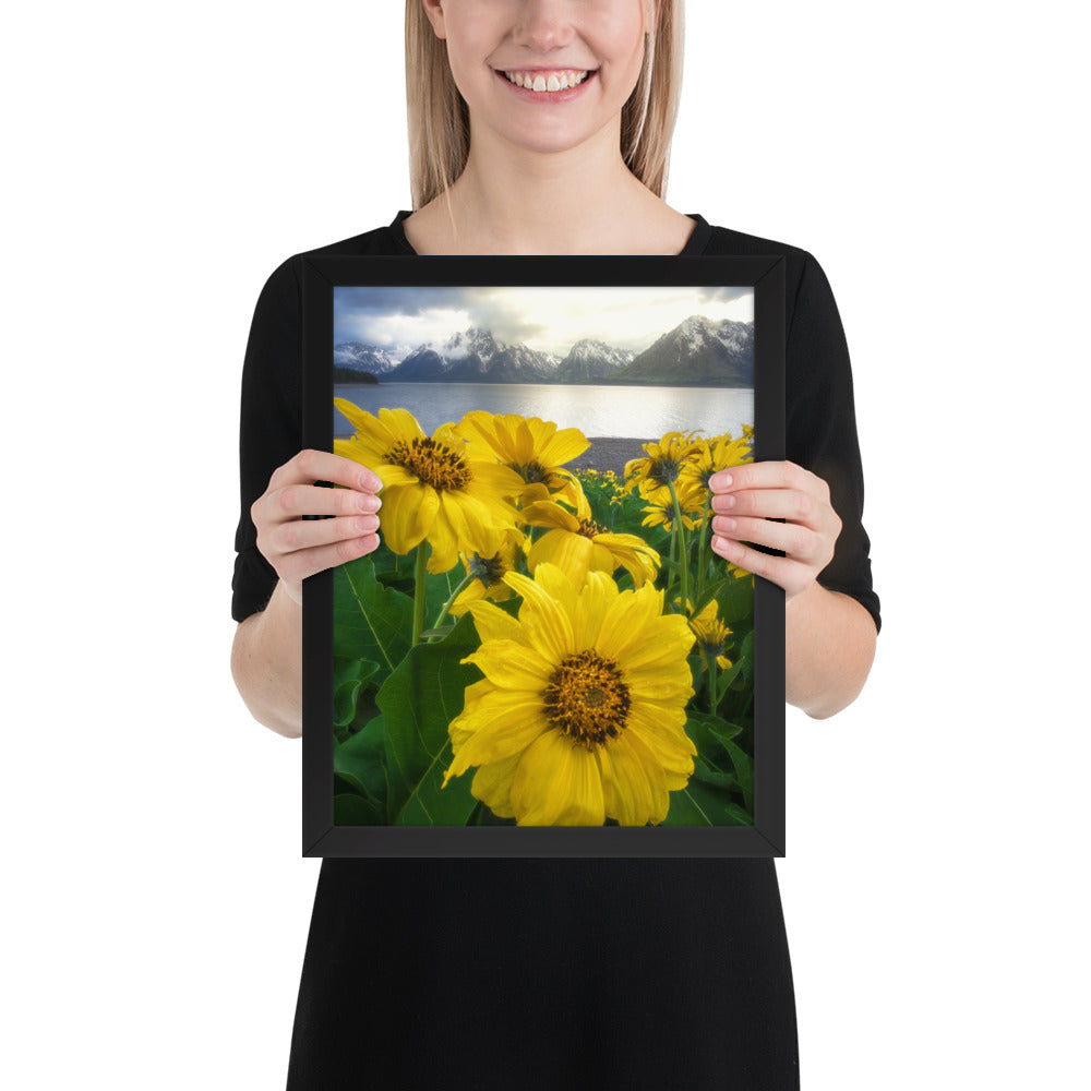Grand Teton Wildflowers Framed Matte