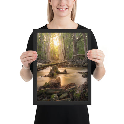 Cibolo Creek Sunset Framed Matte