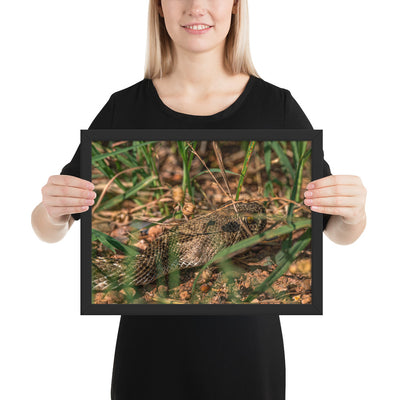 Caprock Canyons Rattlesnake Framed Matte