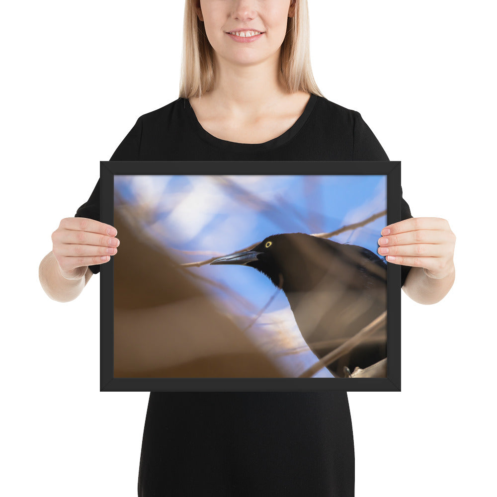 Perched Grackle Framed Matte