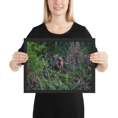 Hill Country Armadillo Framed Matte