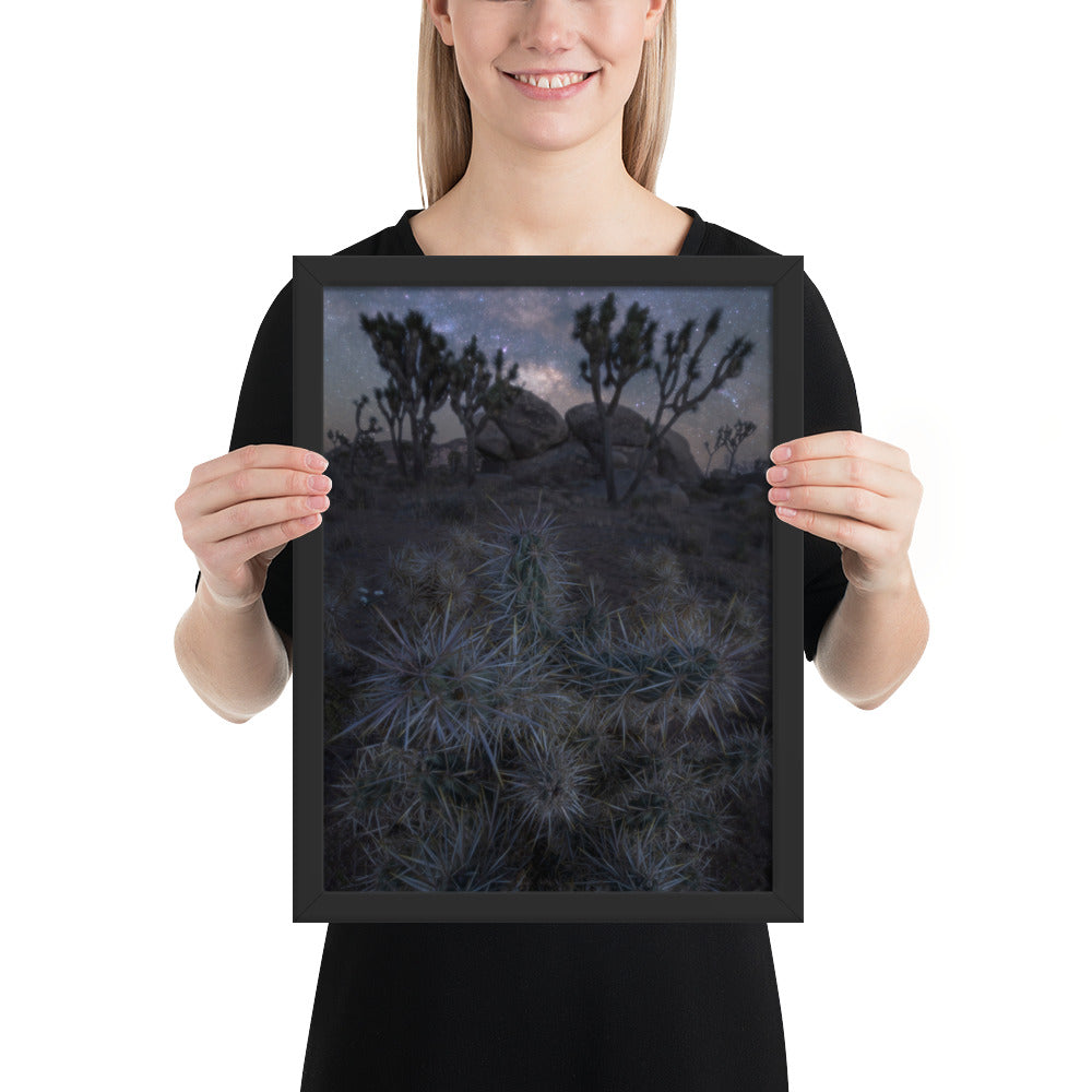 Joshua Tree Night Framed Matte