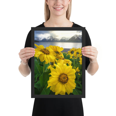 Grand Teton Wildflowers Framed Matte