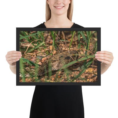 Caprock Canyons Rattlesnake Framed Matte