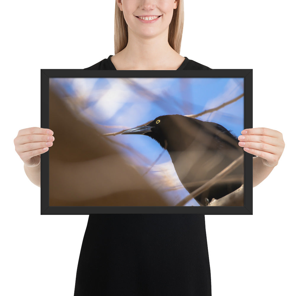 Perched Grackle Framed Matte