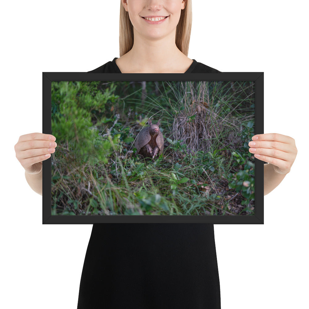 Hill Country Armadillo Framed Matte