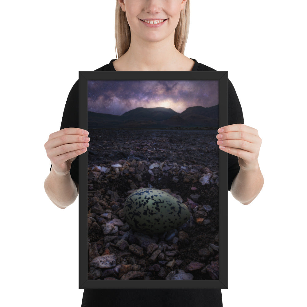 Alvord Avocet Egg Framed Matte