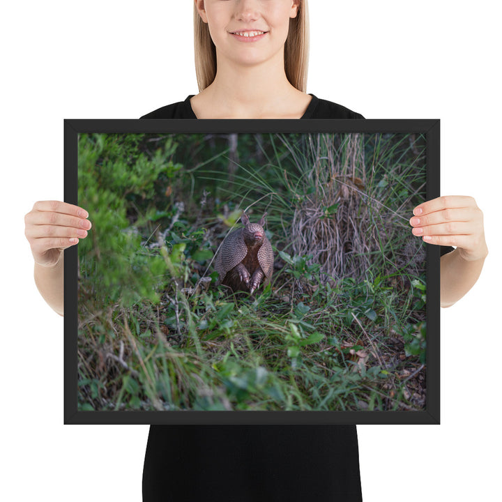Hill Country Armadillo Framed Matte