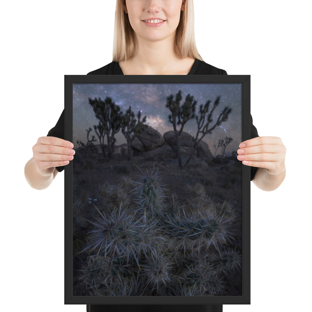 Joshua Tree Night Framed Matte