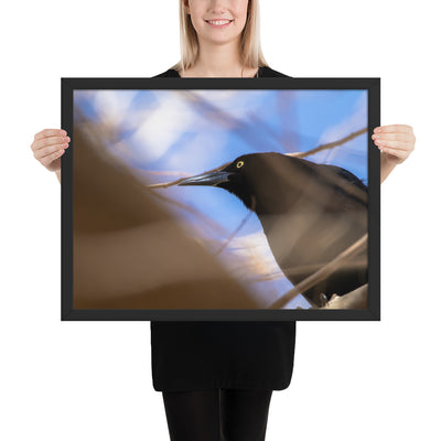 Perched Grackle Framed Matte