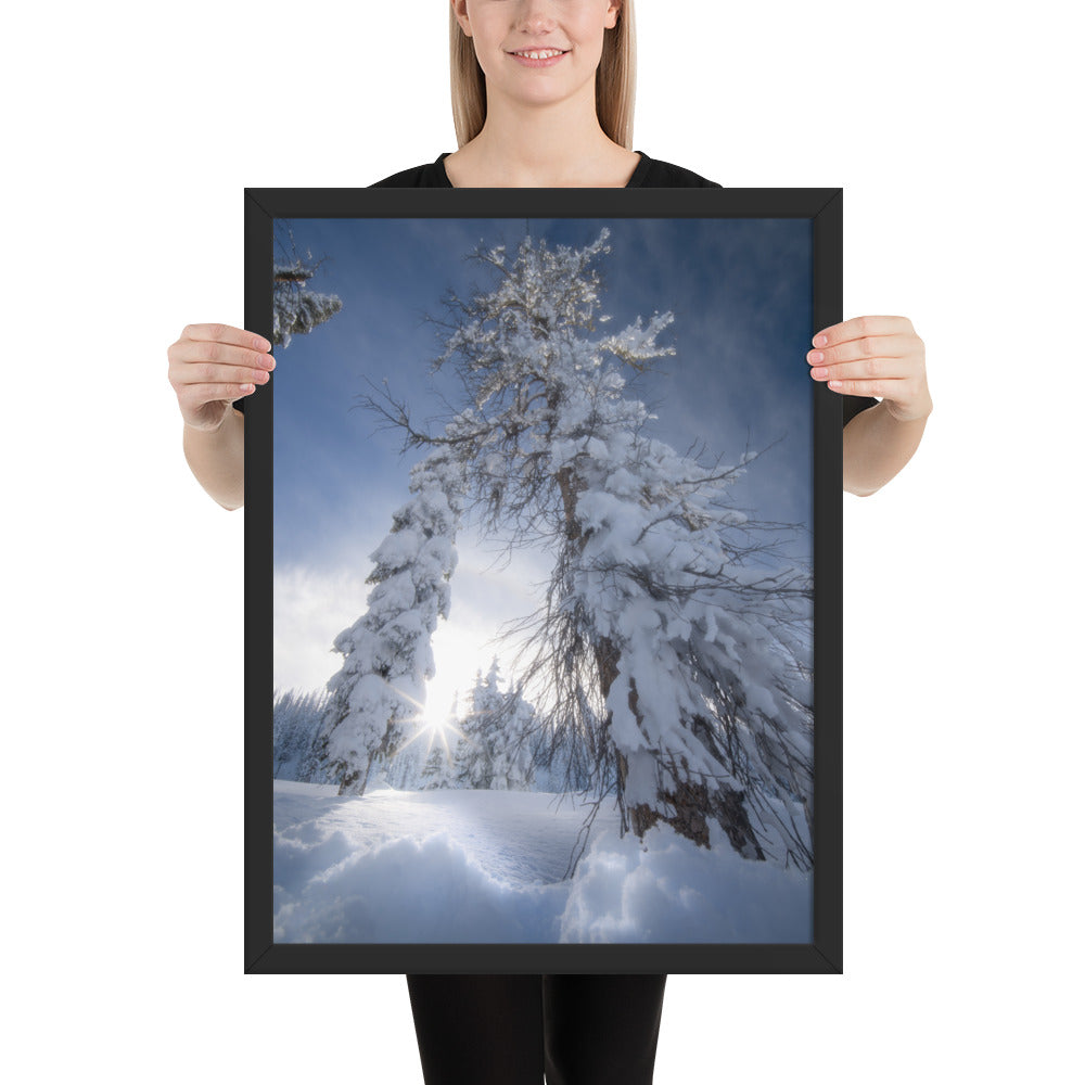 Pagosa Springs Backcountry Framed Matte