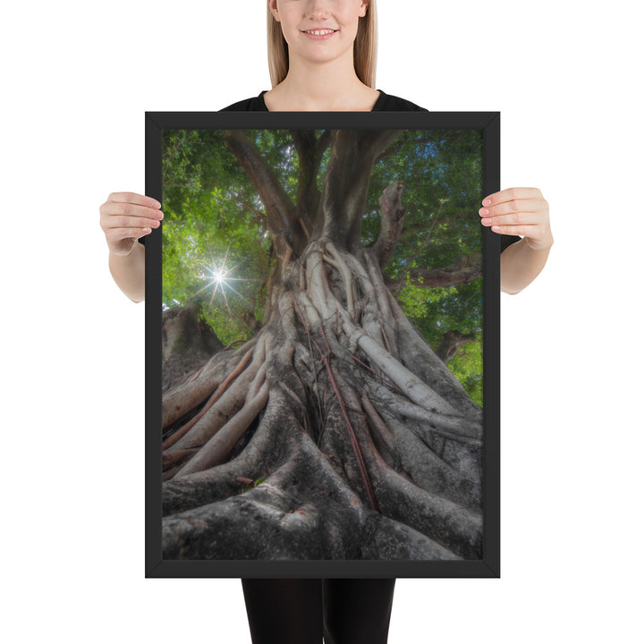 Tree of Hope Framed Matte