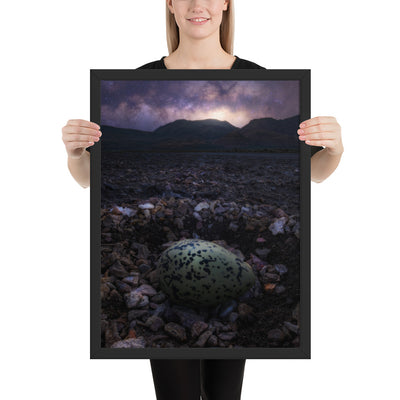Alvord Avocet Egg Framed Matte