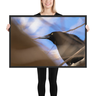 Perched Grackle Framed Matte