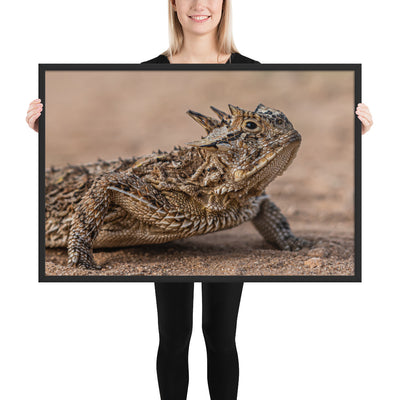 Texas Horned Lizard Framed Matte