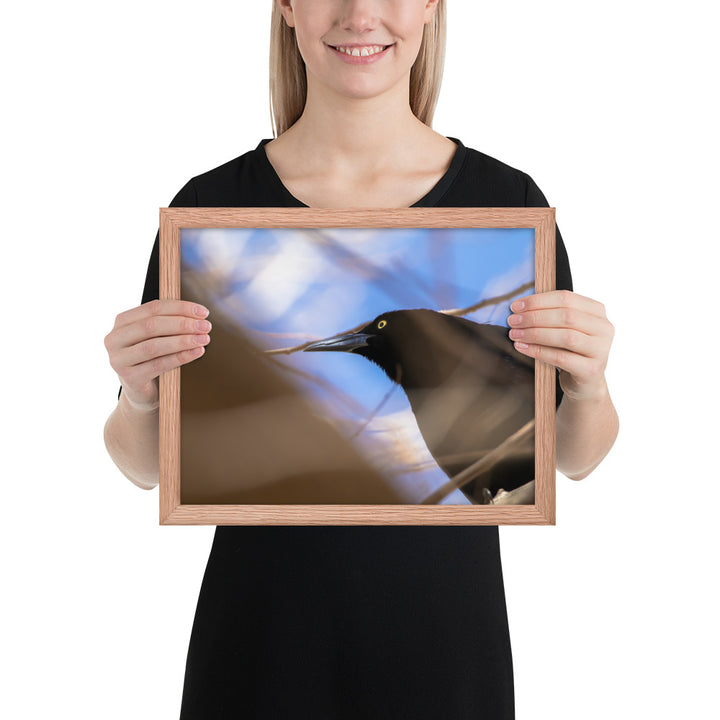 Perched Grackle Framed Matte