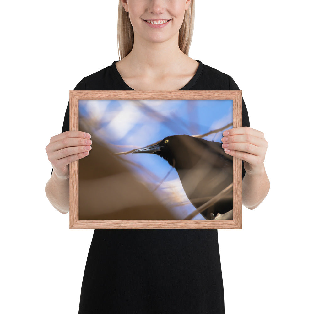 Perched Grackle Framed Matte