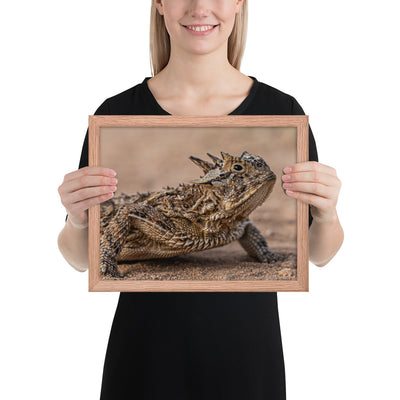 Texas Horned Lizard Framed Matte