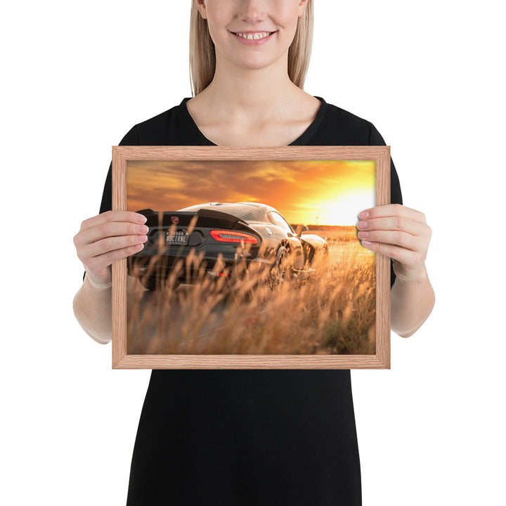 ACR Viper Sunset Framed Matte