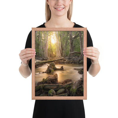 Cibolo Creek Sunset Framed Matte