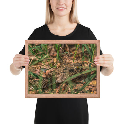 Caprock Canyons Rattlesnake Framed Matte