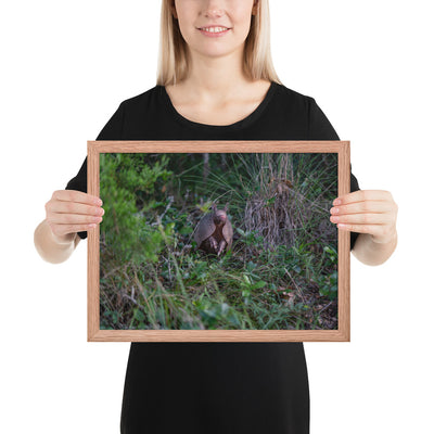 Hill Country Armadillo Framed Matte