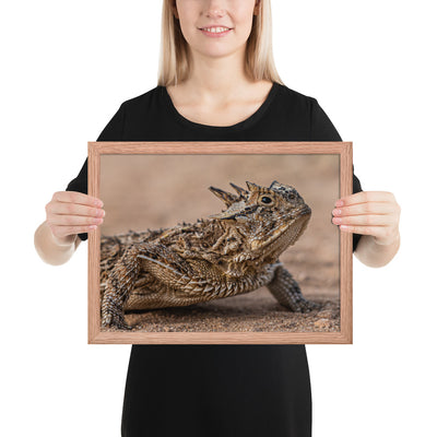 Texas Horned Lizard Framed Matte