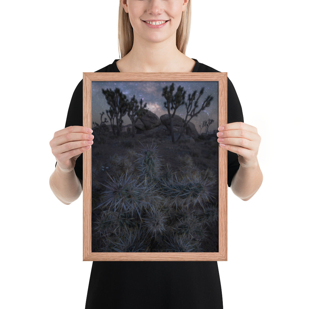 Joshua Tree Night Framed Matte