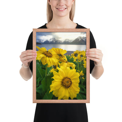 Grand Teton Wildflowers Framed Matte