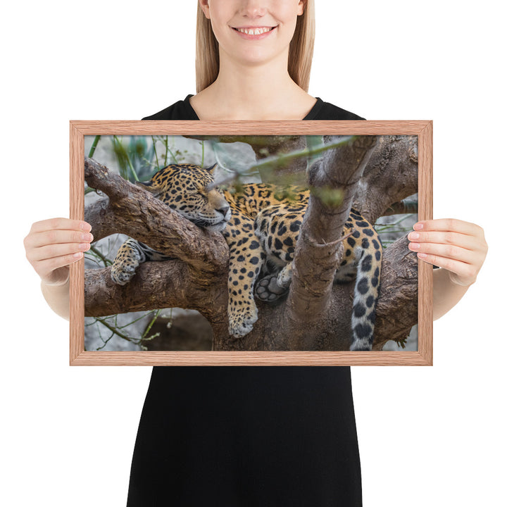 Sleepy Jaguar Framed Matte