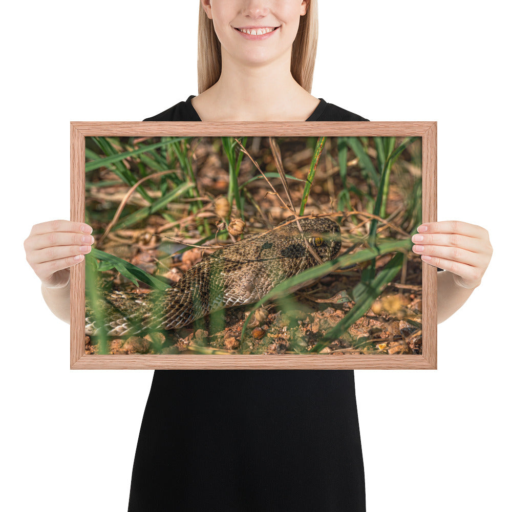Caprock Canyons Rattlesnake Framed Matte