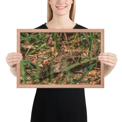 Caprock Canyons Rattlesnake Framed Matte