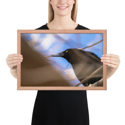 Perched Grackle Framed Matte