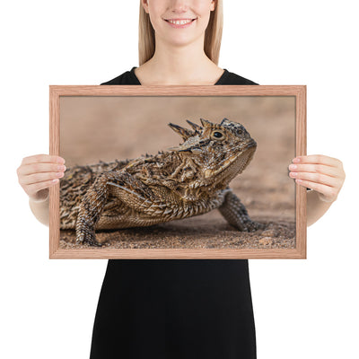 Texas Horned Lizard Framed Matte