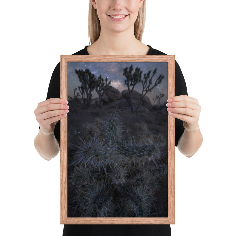 Joshua Tree Night Framed Matte