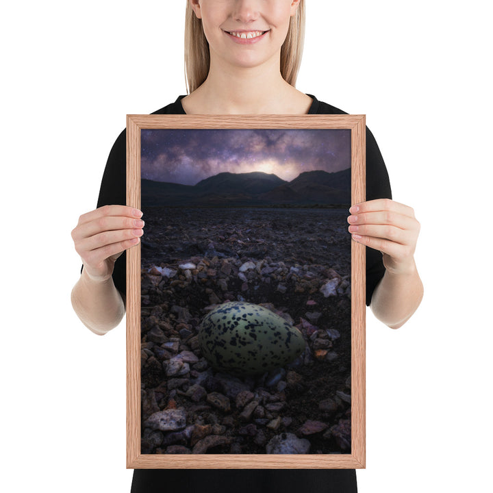 Alvord Avocet Egg Framed Matte