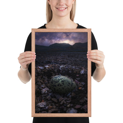 Alvord Avocet Egg Framed Matte