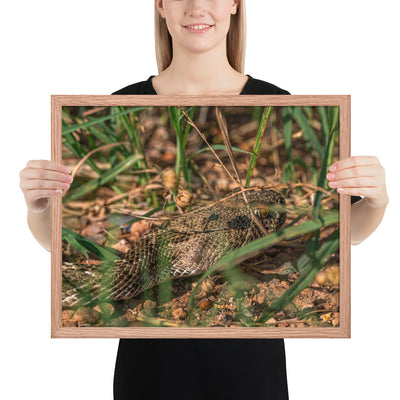 Caprock Canyons Rattlesnake Framed Matte