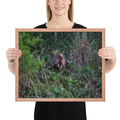 Hill Country Armadillo Framed Matte