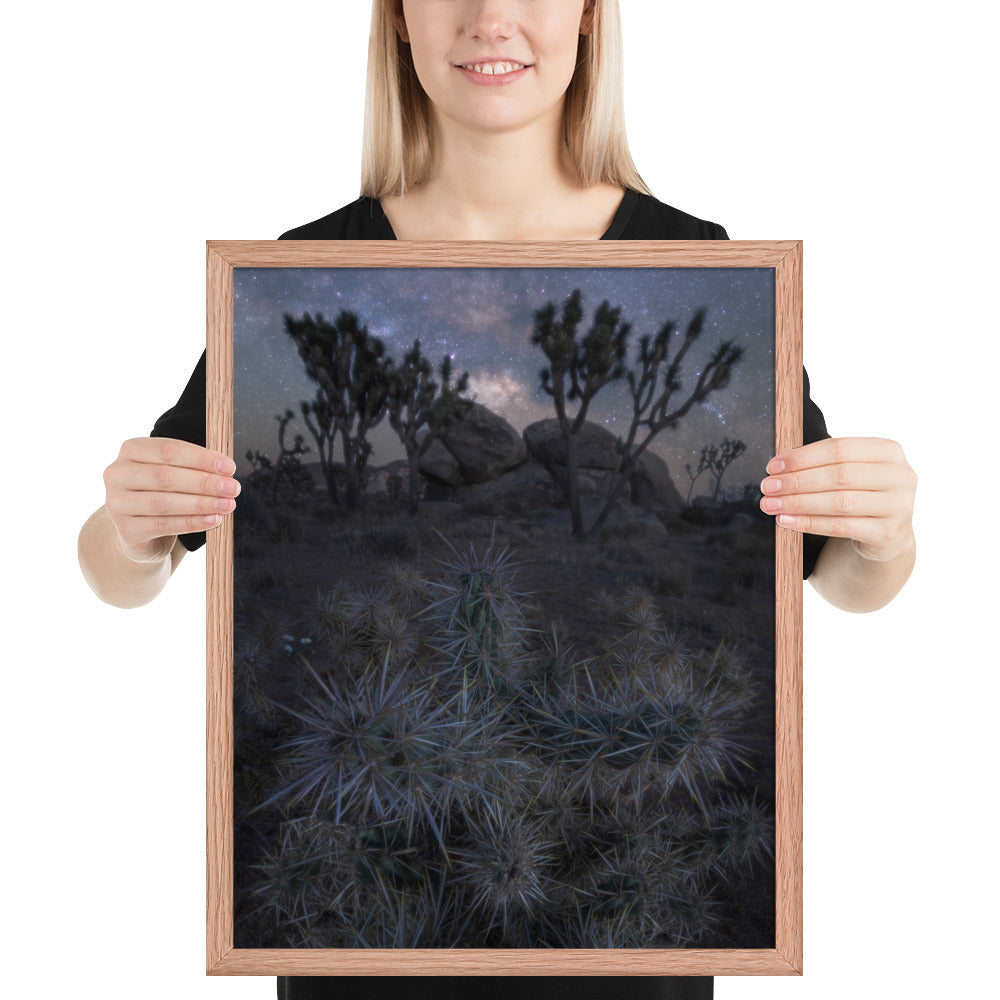 Joshua Tree Night Framed Matte