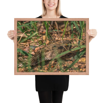 Caprock Canyons Rattlesnake Framed Matte