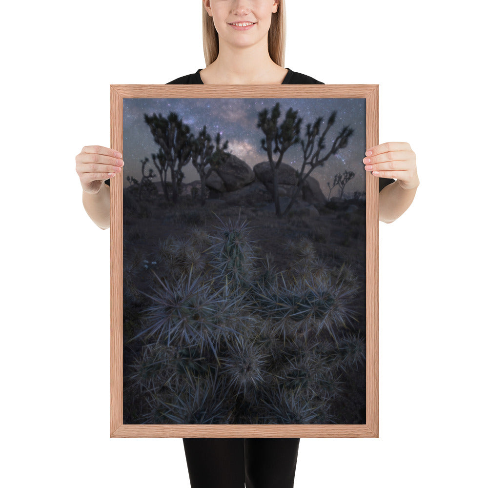 Joshua Tree Night Framed Matte