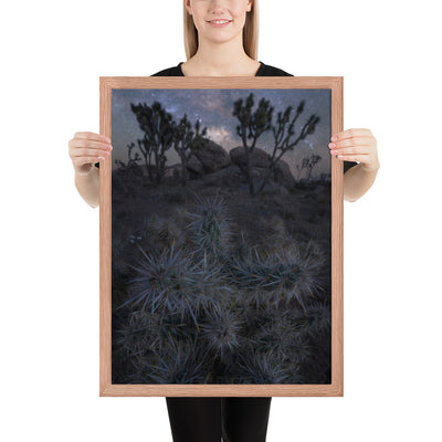 Joshua Tree Night Framed Matte