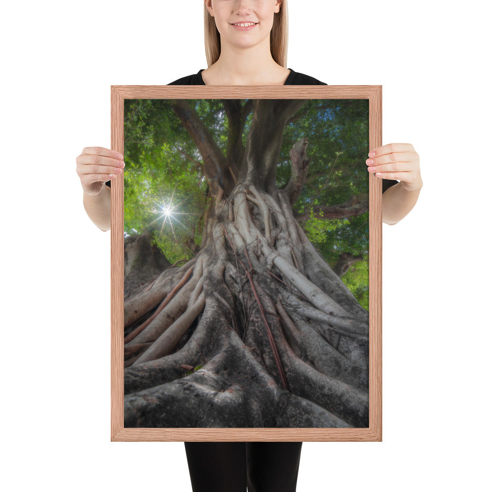 Tree of Hope Framed Matte