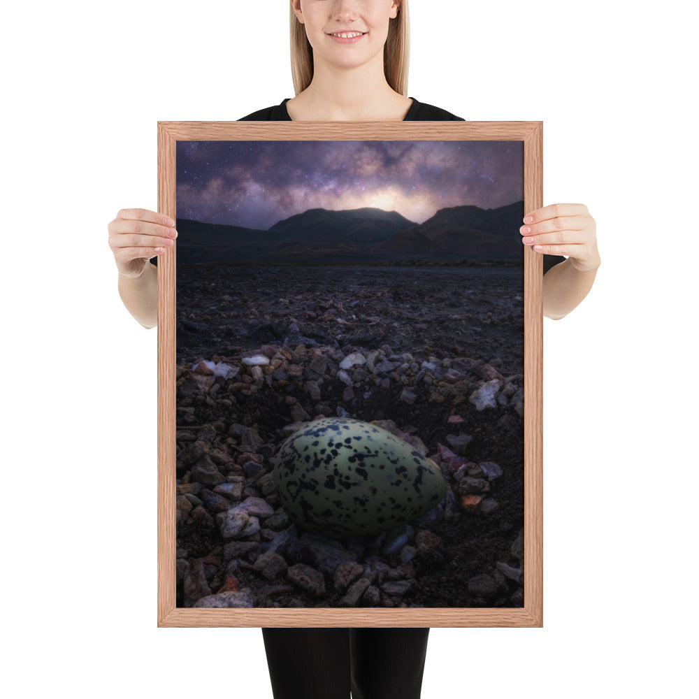 Alvord Avocet Egg Framed Matte