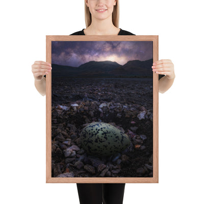 Alvord Avocet Egg Framed Matte