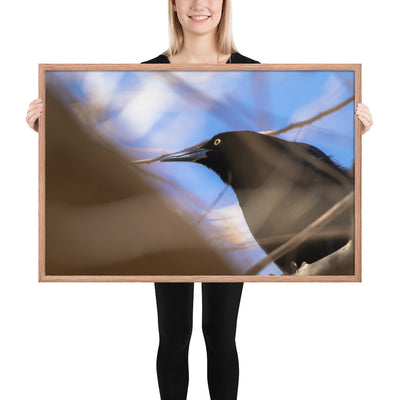 Perched Grackle Framed Matte